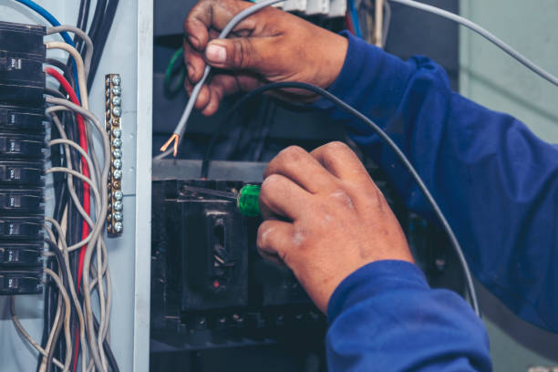 Best Electric Panel Repair  in Lakewood, SC